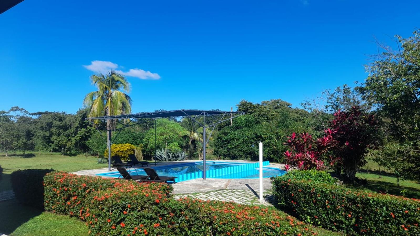 Hotel Los Leones Palenque Ngoại thất bức ảnh