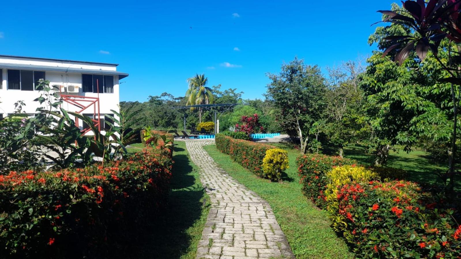Hotel Los Leones Palenque Ngoại thất bức ảnh